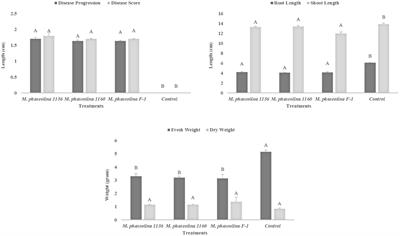 Molecular Identification and Genetic Characterization of Macrophomina phaseolina Strains Causing Pathogenicity on Sunflower and Chickpea